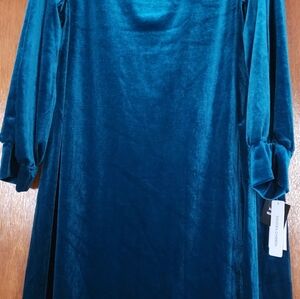 Sandra Darren Peacock Blue Velvet Dress